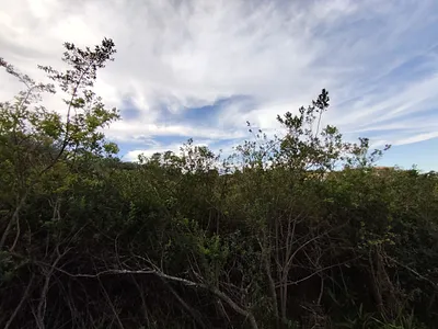 Vacant Land For Sale in Plettenberg Bay - zJ9L.webp