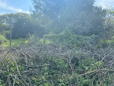 Vacant Land For Sale in Bathurst - IQv1.webp