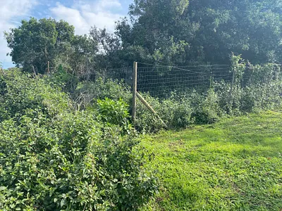 Vacant Land For Sale in Bathurst - HZ4n.webp