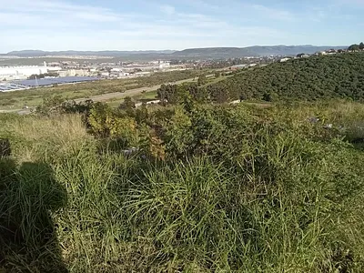 Vacant Land For Sale in Uitenhage - Y5Dc.webp