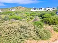 Carousel Indicator - PEPK.webp