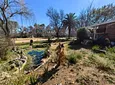 Carousel Indicator - GNkx.webp