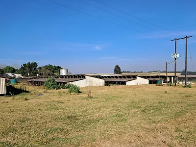 9 Bedroom House For Sale in Camperdown - UoOa.webp