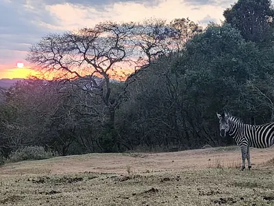 Farm For Sale in Nelspruit - img