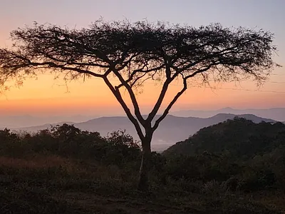 Farm For Sale in Nelspruit - wXgO.webp
