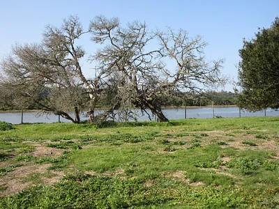 Vacant Land For Sale in Port Alfred - img