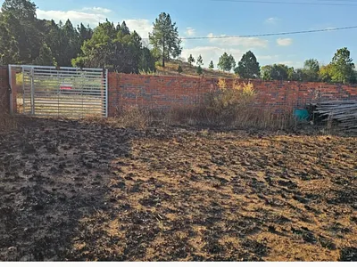 Vacant Land For Sale in Walkerville - FmFl.webp