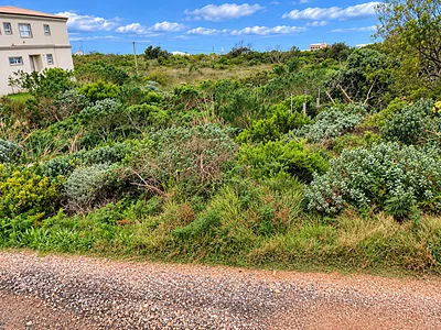 Vacant Land For Sale in Bettys Bay - rLxX.webp