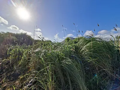 Vacant Land For Sale in Pringle Bay - u7LC.webp