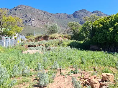 Vacant Land For Sale in Riebeek Valley - x77Q.webp