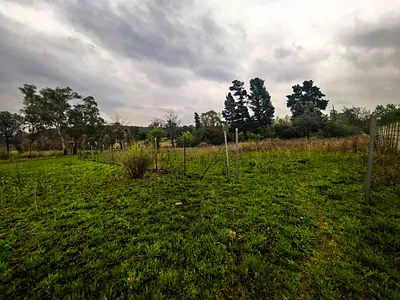 Vacant Land For Sale in Walkerville - jhSG.webp