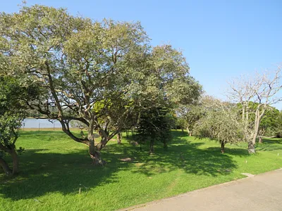 Vacant Land For Sale in Port Alfred - Z9ub.webp
