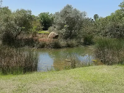 Vacant Land For Sale in Hartbeespoort - cP2t.webp