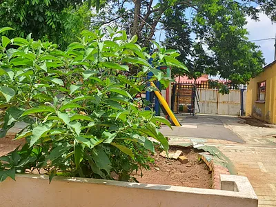3 Bedroom House For Sale in Springs - sFx5.webp