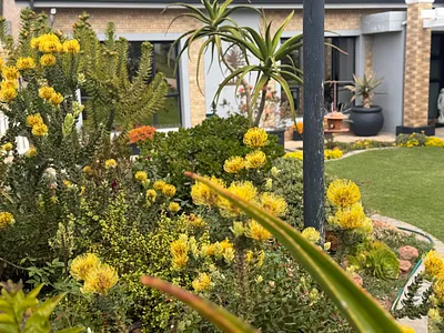 3 Bedroom House For Sale in Hartenbos - img