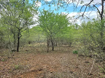 Vacant Land For Sale in Marloth Park - UxeE.webp
