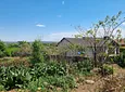 Carousel Indicator - aBvW.webp