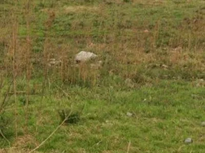 Vacant Land For Sale in Bethal - cjtn.webp