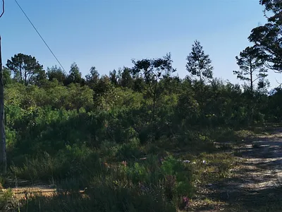 Vacant Land For Sale in Plettenberg Bay - WYkj.webp