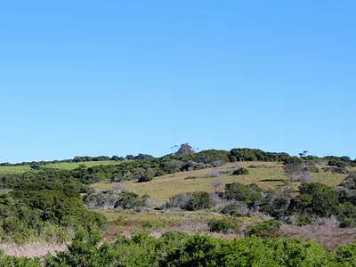 Vacant Land For Sale in Port Alfred - zQsz.webp