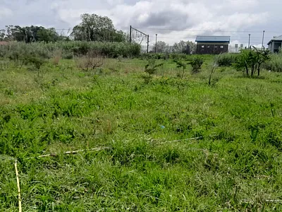 Vacant Land For Sale in King Williams Town - 25XF.webp