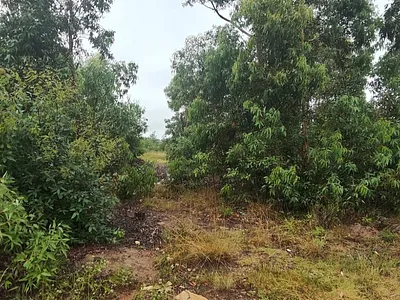 Vacant Land For Sale in Port Elizabeth - FB3h.webp