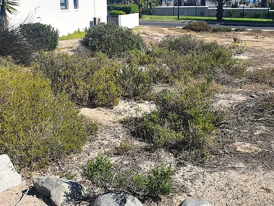 Vacant Land For Sale in St Helena Bay - ljkU.webp