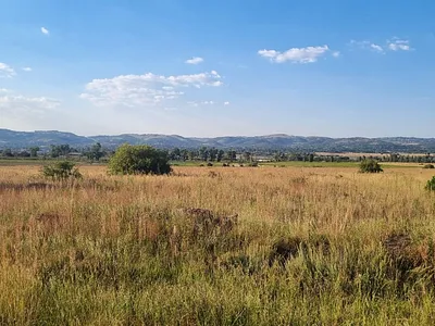 Vacant Land For Sale in Walkerville - kWQL.webp