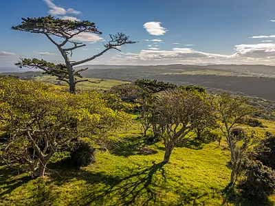 3 Bedroom House For Sale in Port Elizabeth - FN2U.webp