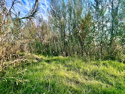Vacant Land For Sale in Parys - jyKs.webp