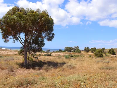 Vacant Land For Sale in St Helena Bay - lCWf.webp
