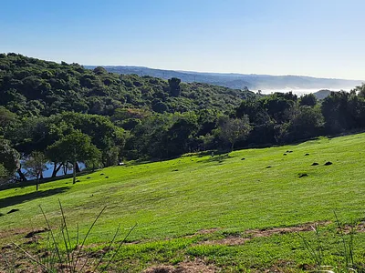 Vacant Land For Sale in East London - Xbeo.webp