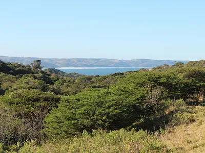 Vacant Land For Sale in East London - aiUM.webp