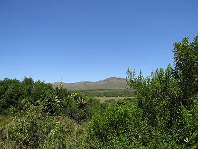 Vacant Land For Sale in Humansdorp - vXFa.webp