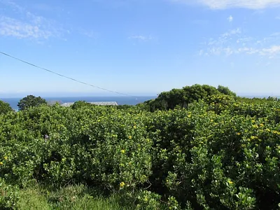 Vacant Land For Sale in Oyster Bay - Flgo.webp