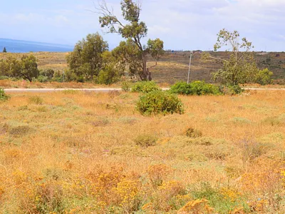 Vacant Land For Sale in St Helena Bay - sm60.webp