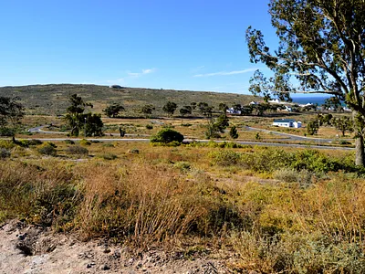 Vacant Land For Sale in St Helena Bay - diel.webp