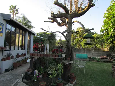 3 Bedroom House For Sale in Humansdorp - yjrj.webp