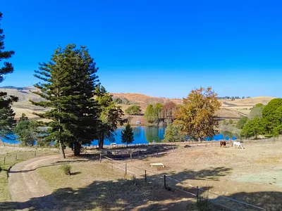Farm For Sale in Howick - 1UQY.webp
