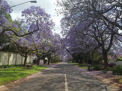 2 Bedroom Apartment To Rent in Pretoria - bqo1.webp