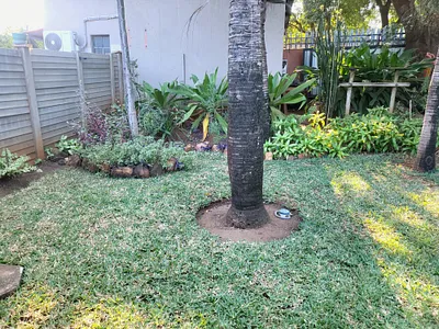 5 Bedroom House For Sale in Komatipoort - dPpK.webp