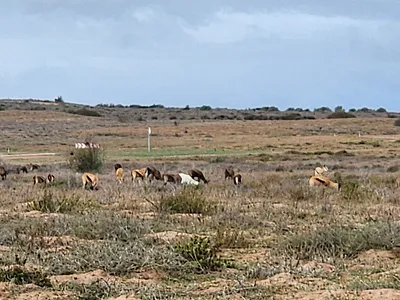 Vacant Land For Sale in Langebaan - EB6f.webp