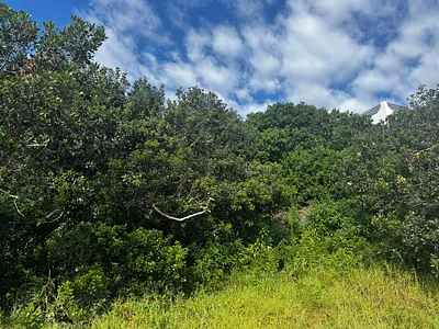 Vacant Land For Sale in Jeffreys Bay - ynt2.webp
