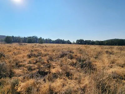 Vacant Land For Sale in Heidelberg - FGp7.webp