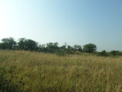 Vacant Land For Sale in Parys - uBLJ.webp