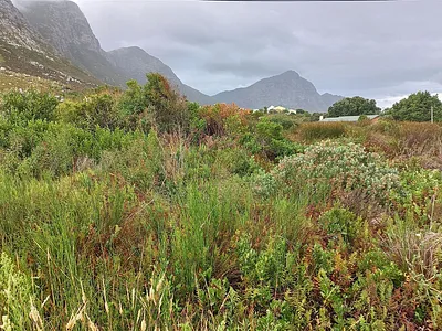 Vacant Land For Sale in Bettys Bay - 6lMz.webp