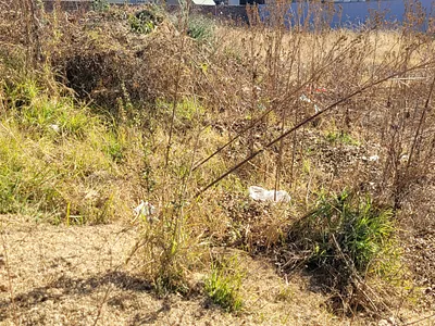 Vacant Land For Sale in Middelburg - pPoF.webp