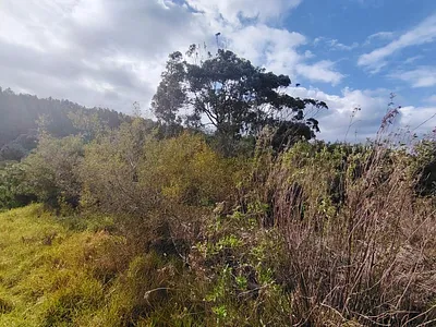 Vacant Land For Sale in Plettenberg Bay - 7yvw.webp