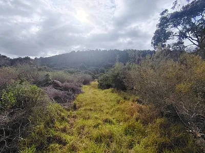 Vacant Land For Sale in Plettenberg Bay - ciU1.webp