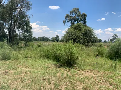 Vacant Land For Sale in Walkerville - 3Fro.webp